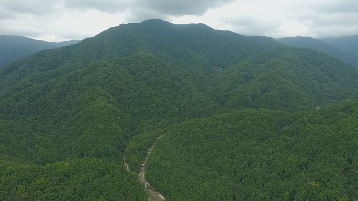 오대산·지심도<em class='find'>에</em>서도…"아픈 역사 되새겨요"