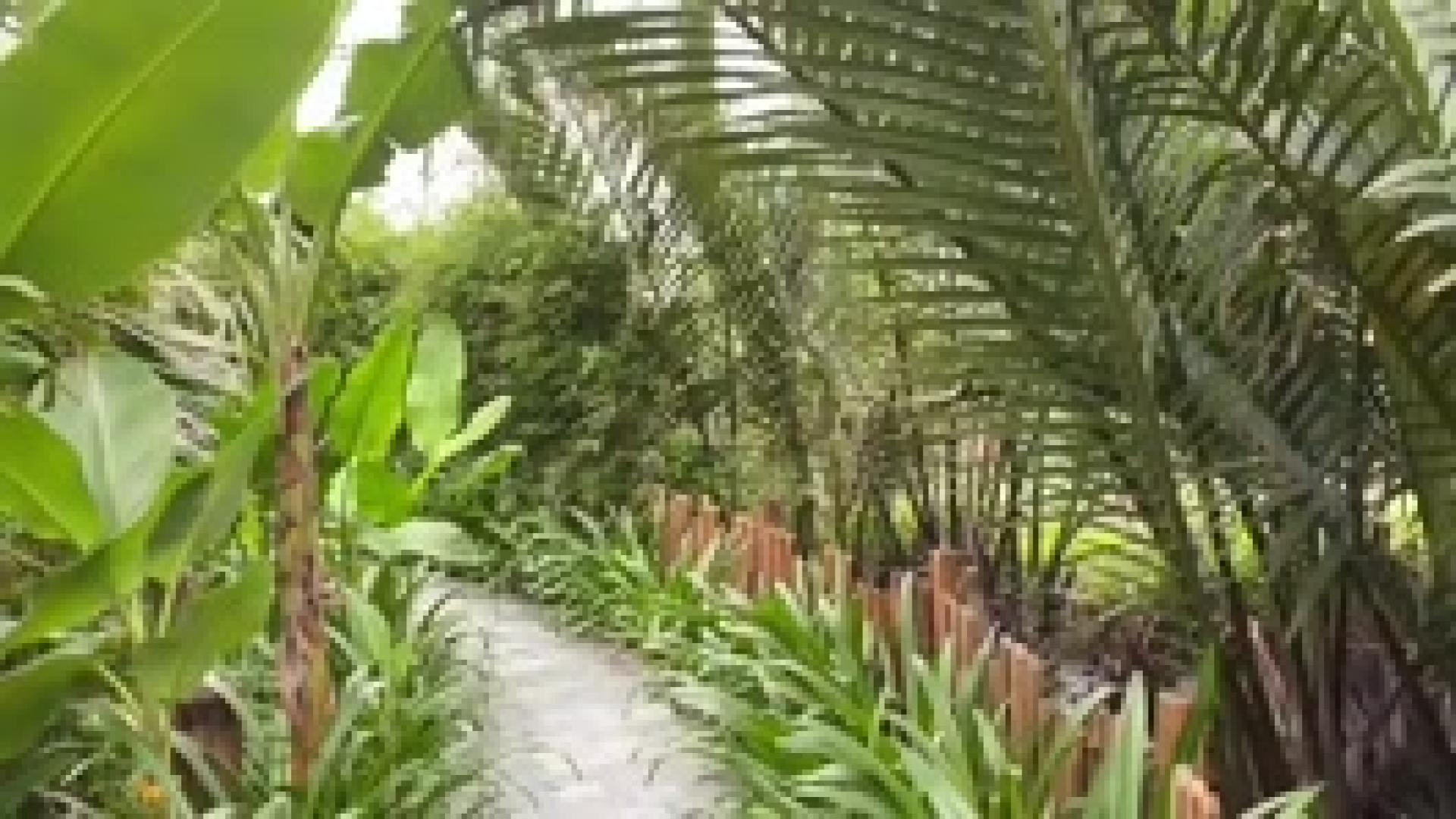 [일문일답] <em class='find'>과기</em>정통부 “제4 이통 경매부터 재시작… 제도 보완 위해 연구반 가동”